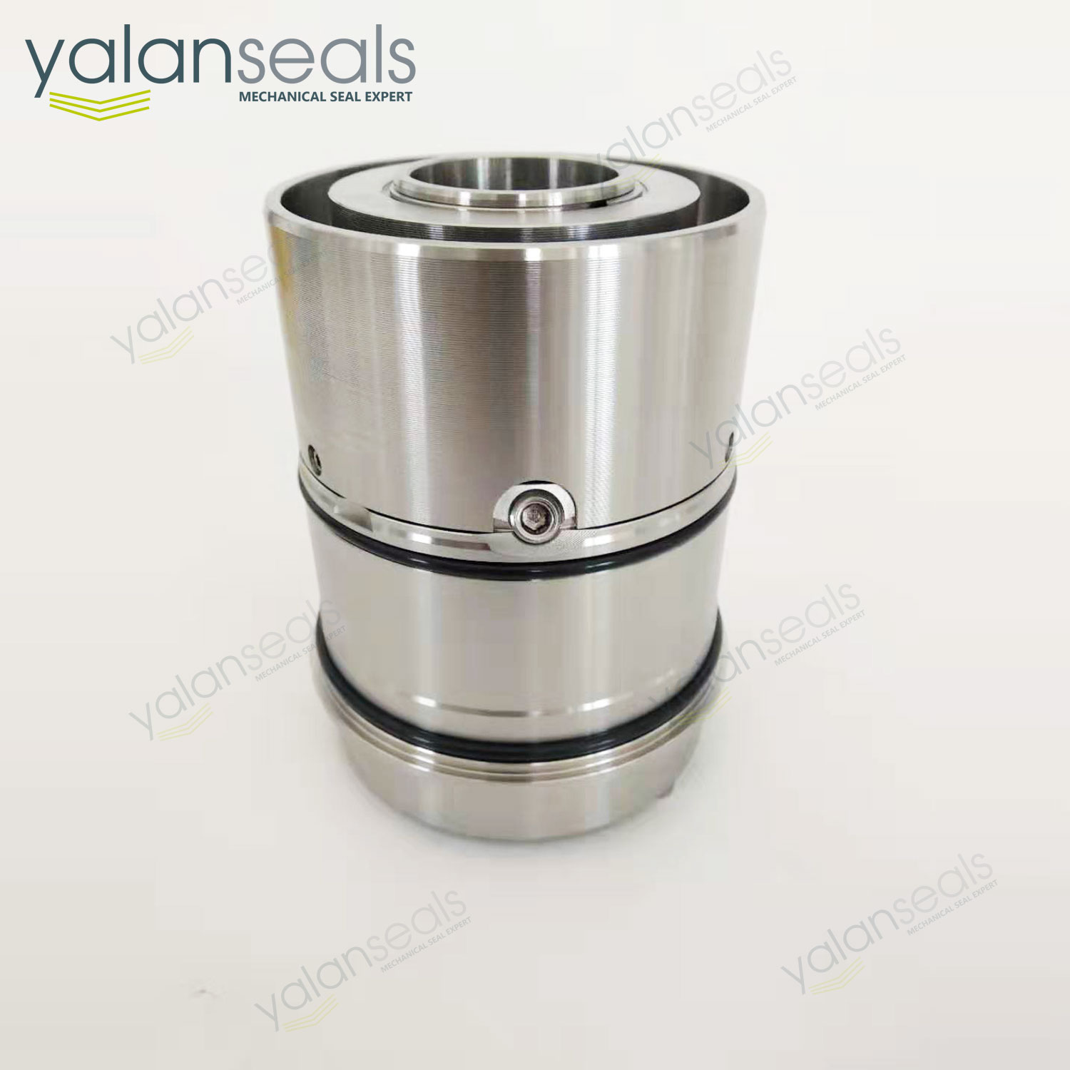 亞蘭SE2C型雙集裝式機械密封件