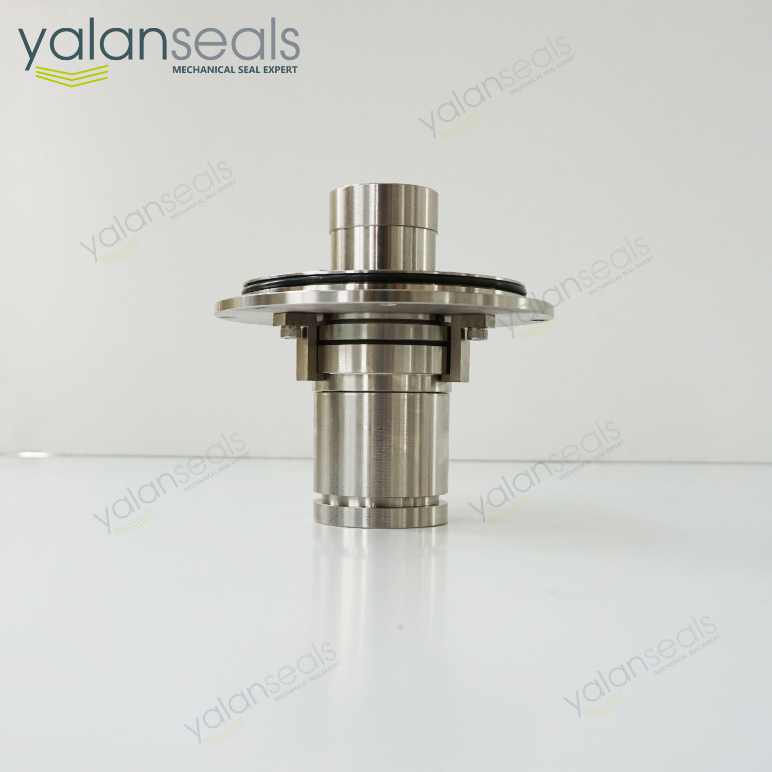 亞蘭SAS-45集裝式密封件，用于Salomix SL80泵